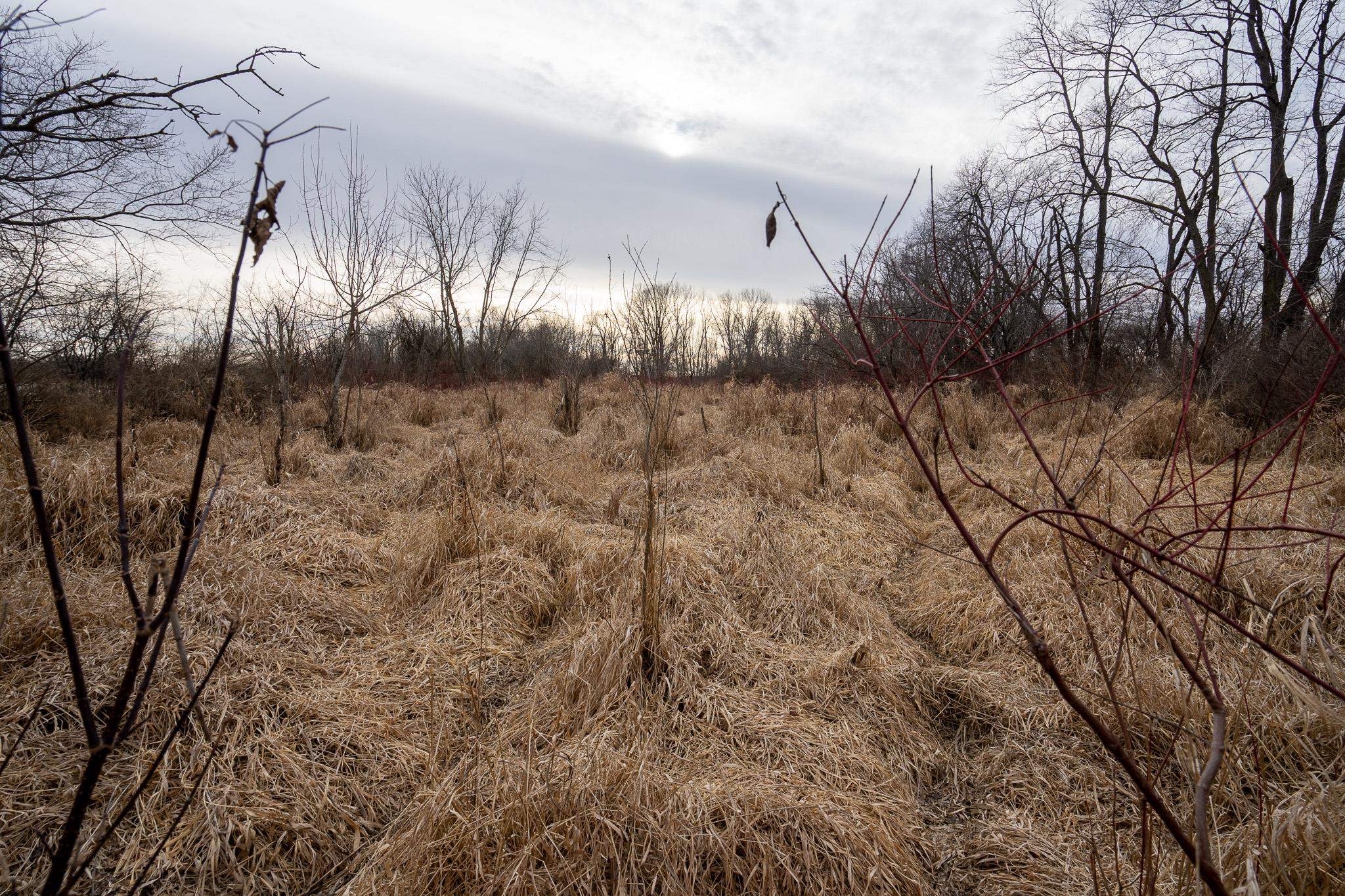 200-ac Old Stone Brooklyn, WI 53521 - Photo 11 of 21