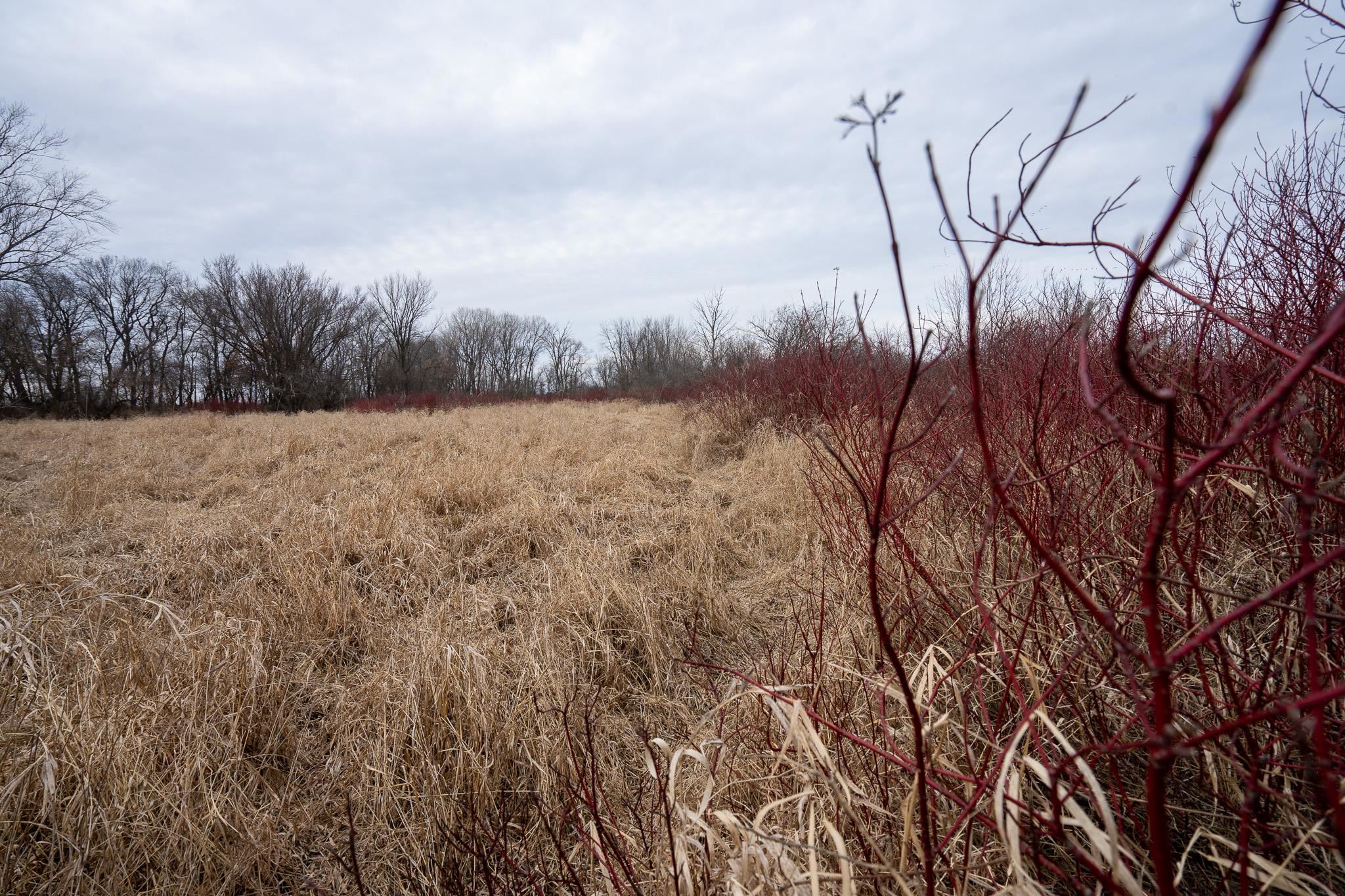 200-ac Old Stone Brooklyn, WI 53521 - Photo 12 of 21