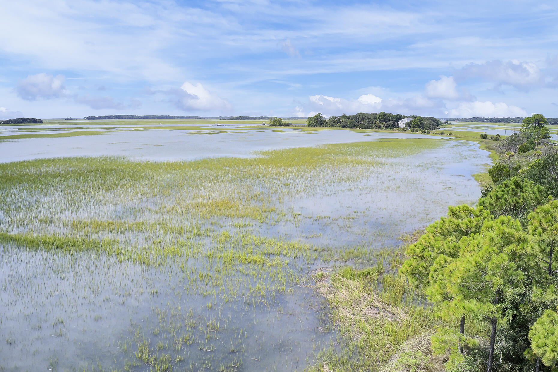 2139 Tides End Road Charleston, SC 29412 - Photo 22 of 55 Site 1c