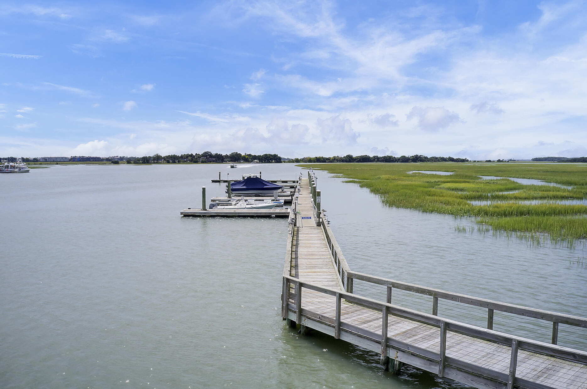 2139 Tides End Road Charleston, SC 29412 - Photo 29 of 55 10
