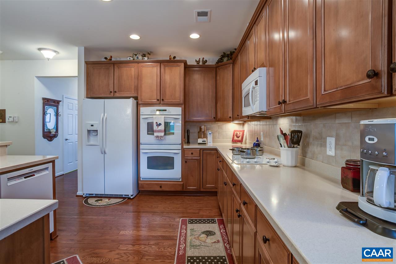 67 John Rucker Drive Ruckersville, VA 22968 - Photo 3 of 42 Gallery Image 3