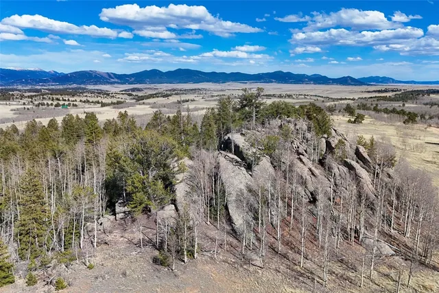 a view of a big yard