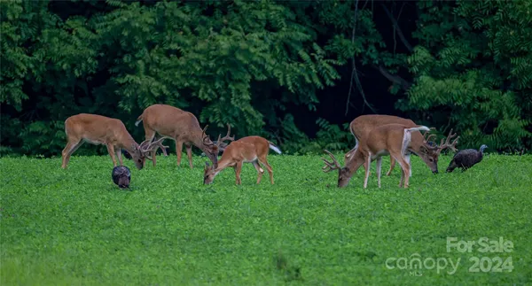 $17,500,000 | 229 Joseph Kershaw Road, Eastover, SC 29044