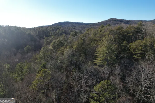 a view of a mountain range with trees in the background