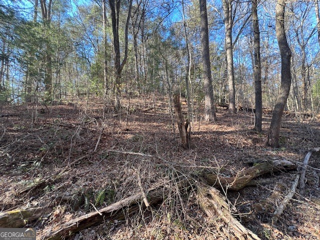 0 Old Miller Rock Road Ellijay, GA 30540 - Photo 4 of 10 a view of a yard with trees