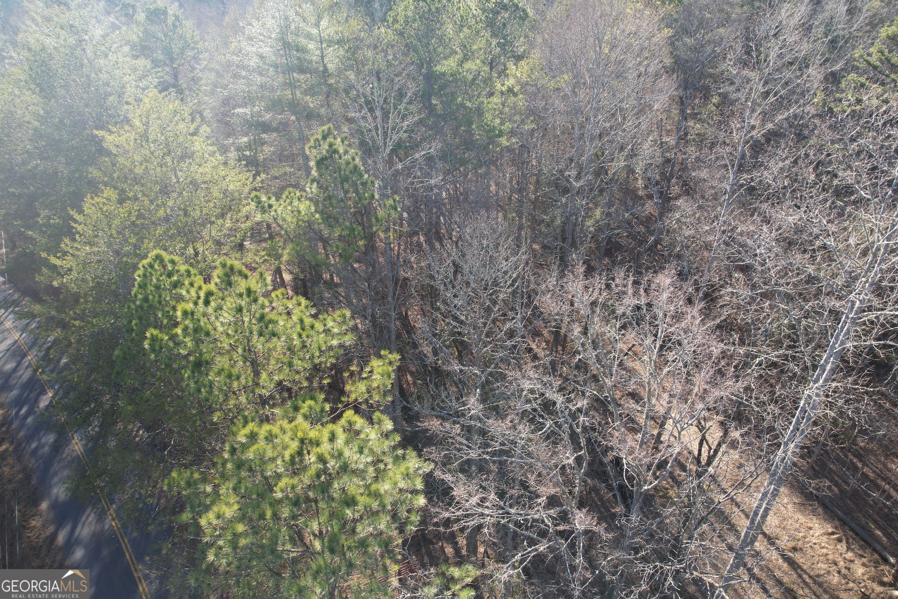 0 Old Miller Rock Road Ellijay, GA 30540 - Photo 7 of 10 a yard with a tree
