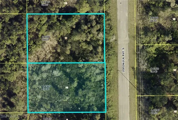 $45,000 | 842 Joponica Avenue South, Lehigh Acres, FL 33974