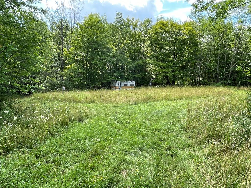 New Kingston Mountain Road Roxbury, NY 12474 - Photo 1 of 1 Grass drive to trailer