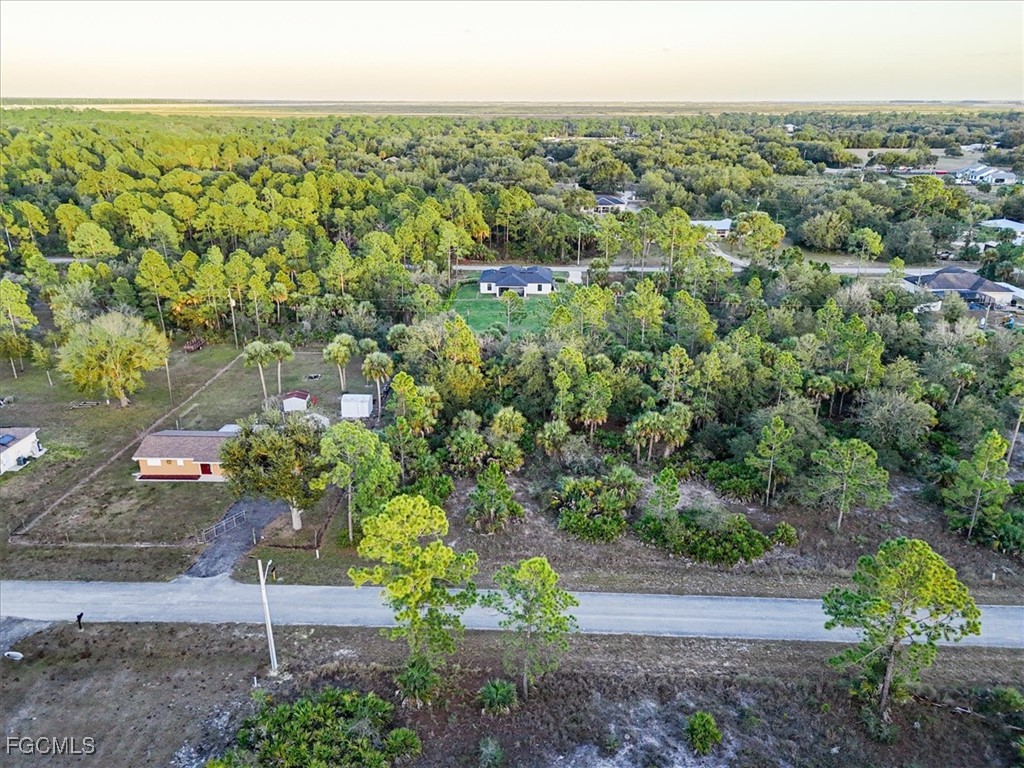 2310 Louis Avenue Alva, FL 33920 - Photo 13 of 32
