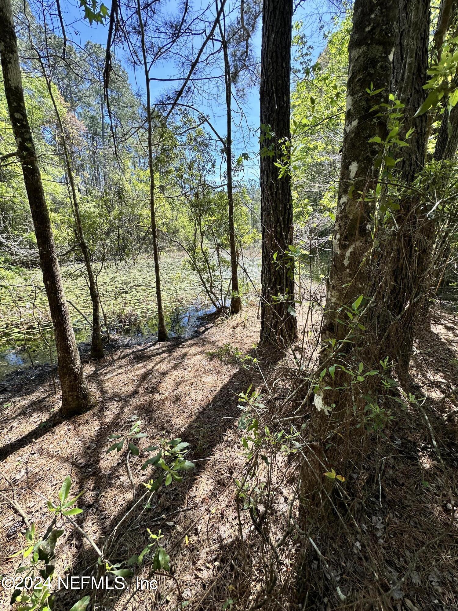 36684 Dyal Road Callahan, FL 32011 - Photo 3 of 19 IMG_5100