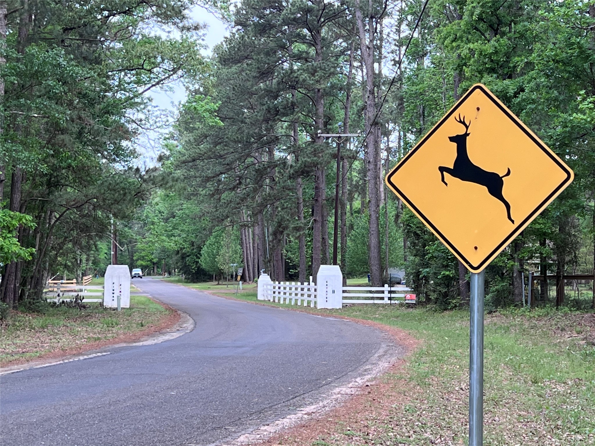 0 Chain Road Livingston, TX 77351 - Photo 19 of 25 Gallery Image 19