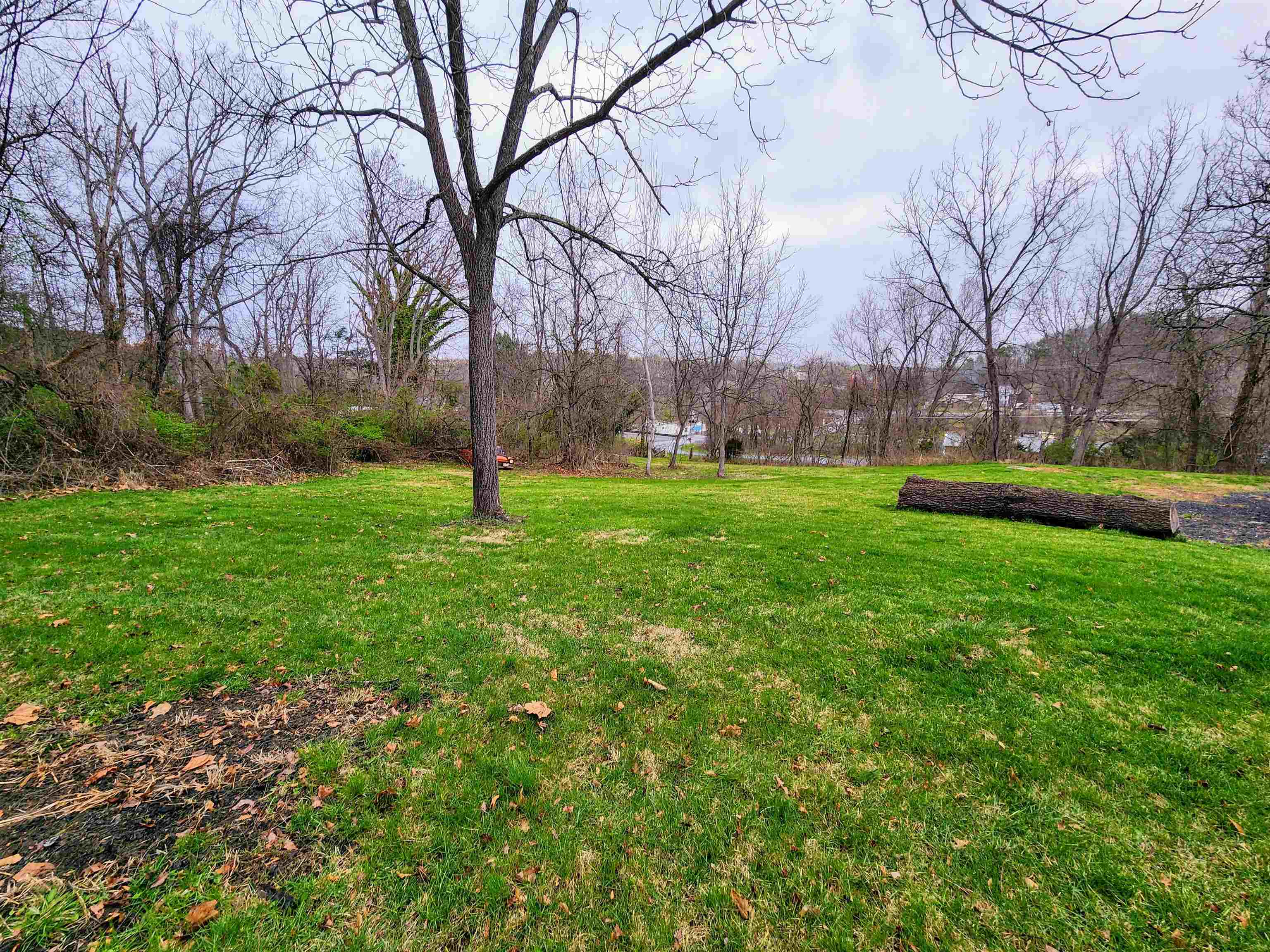 75 Jericho Road Fishersville, VA 22939 - Photo 6 of 46 a view of a grassy field with trees
