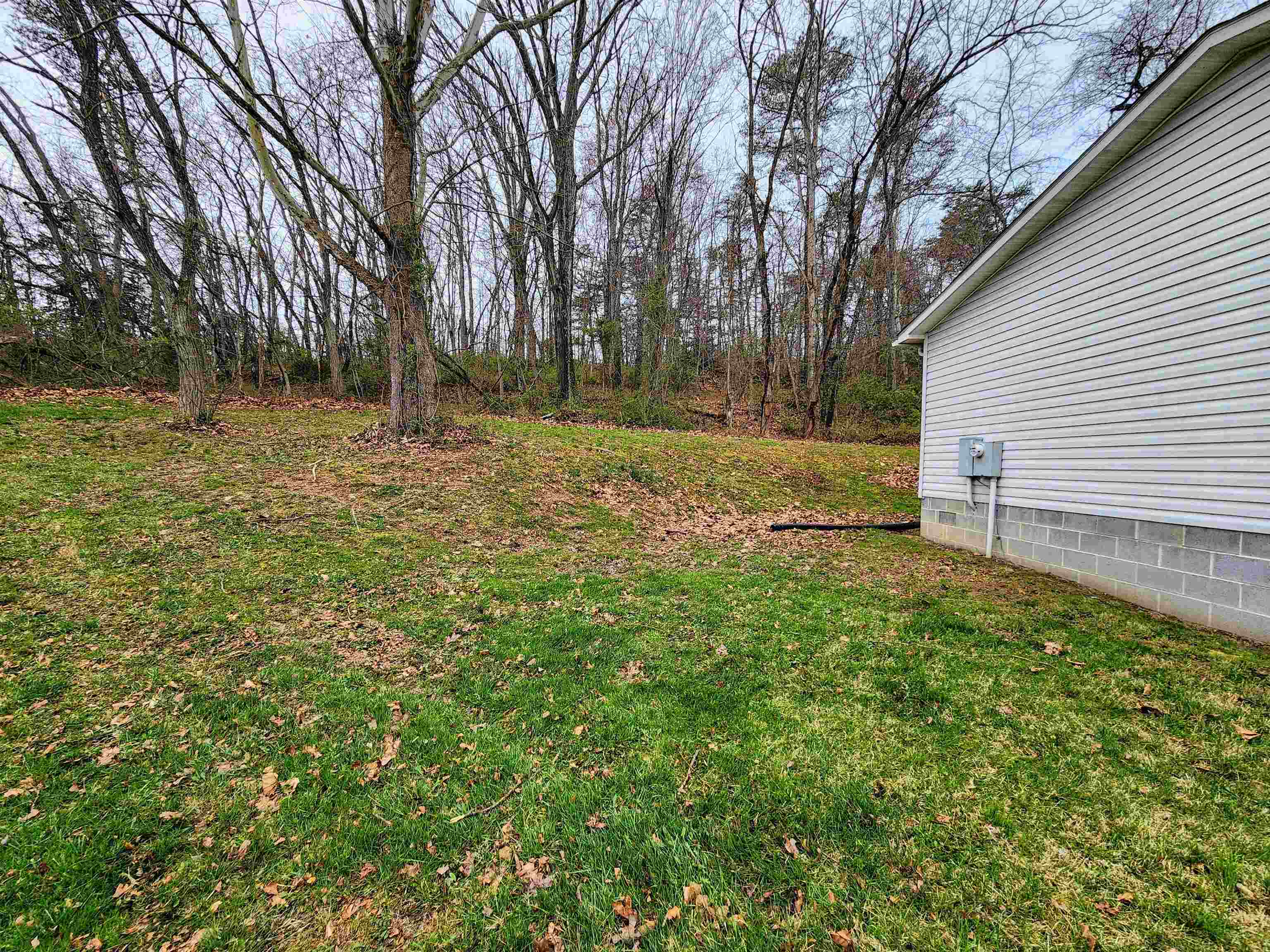 75 Jericho Road Fishersville, VA 22939 - Photo 8 of 46 a view of backyard with tree