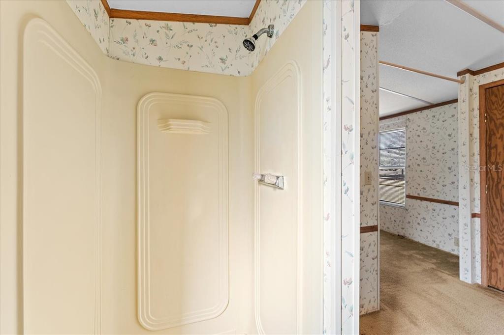 12001 Rhodine Road Riverview, FL 33579 - Photo 28 of 61 a bathroom with a shower