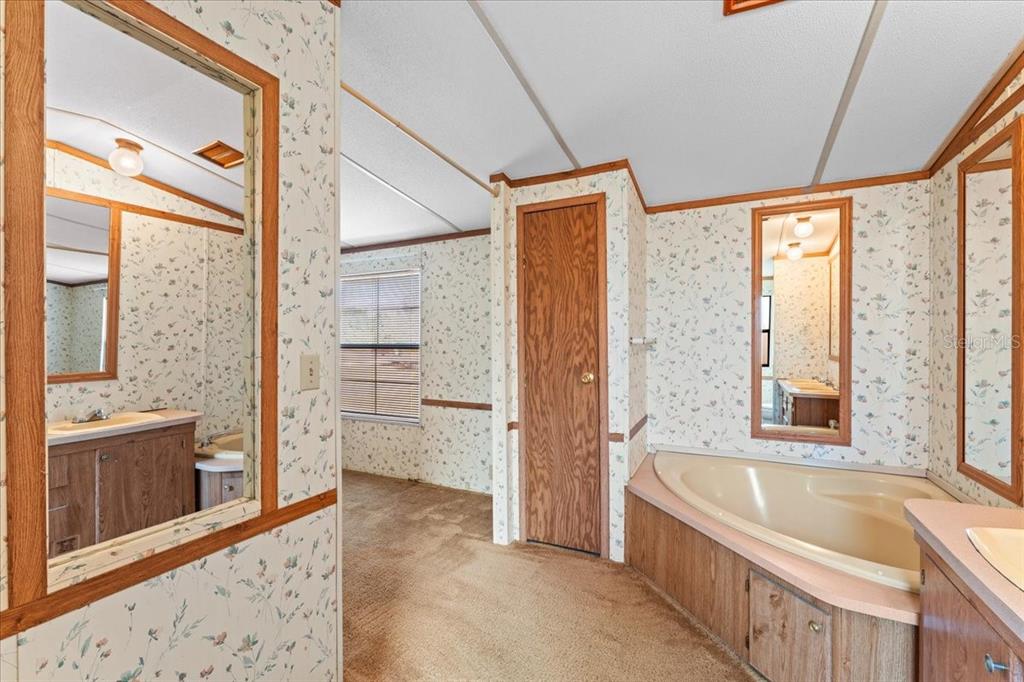 12001 Rhodine Road Riverview, FL 33579 - Photo 29 of 61 a bathroom with a tub a sink and a large mirror