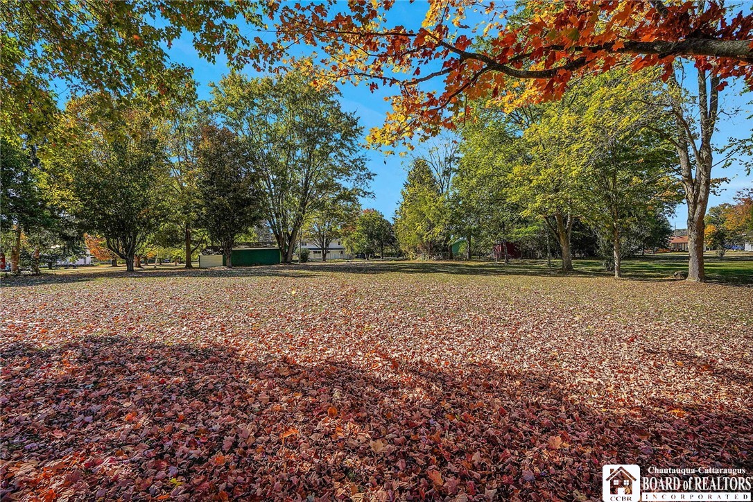 12079 Savage Road Sardinia, NY 14030 - Photo 33 of 37