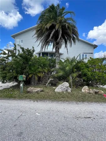 a palm tree sitting in front of a house with a yard
