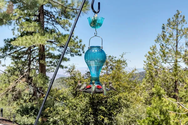 $625,000 | 23971 Skyview Drive, Idyllwild, CA 92549