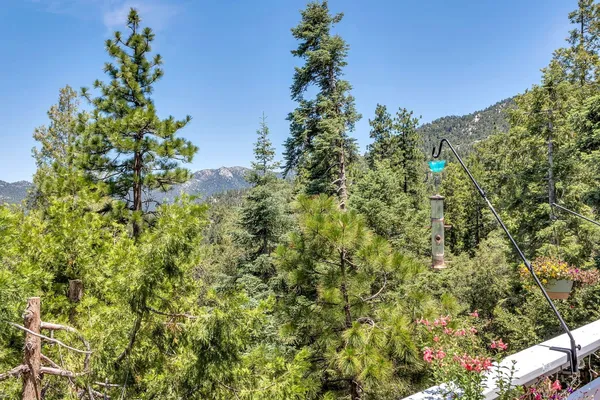 $625,000 | 23971 Skyview Drive, Idyllwild, CA 92549