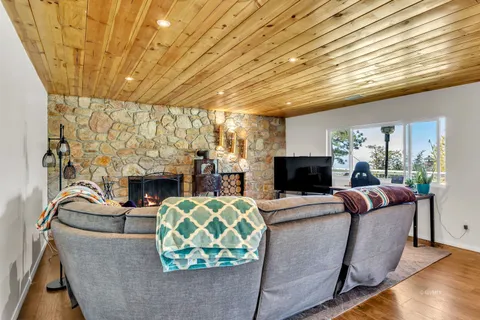 a living room with furniture a fireplace and a potted plant