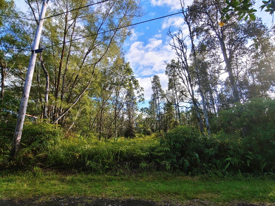 452 Lahaina Road Pahoa, HI 96778 - Photo 1 of 5 a view of a yard with plants and large trees