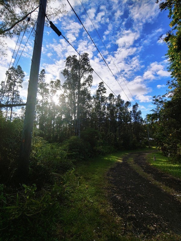 452 Lahaina Road Pahoa, HI 96778 - Photo 3 of 5 a view of outdoor space and yard