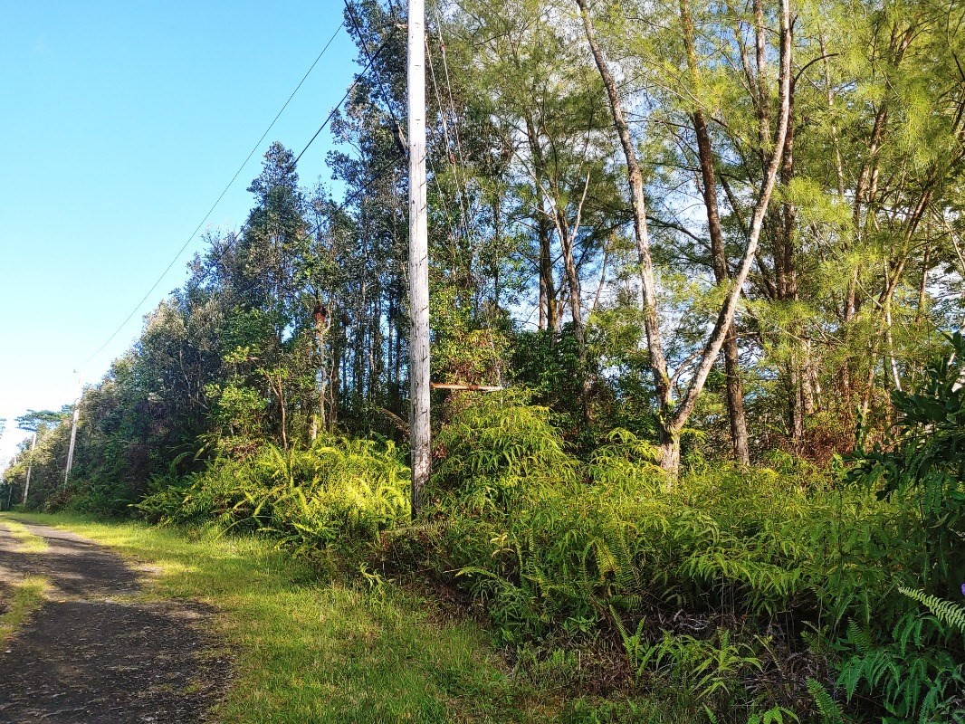 452 Lahaina Road Pahoa, HI 96778 - Photo 4 of 5 a view of a yard