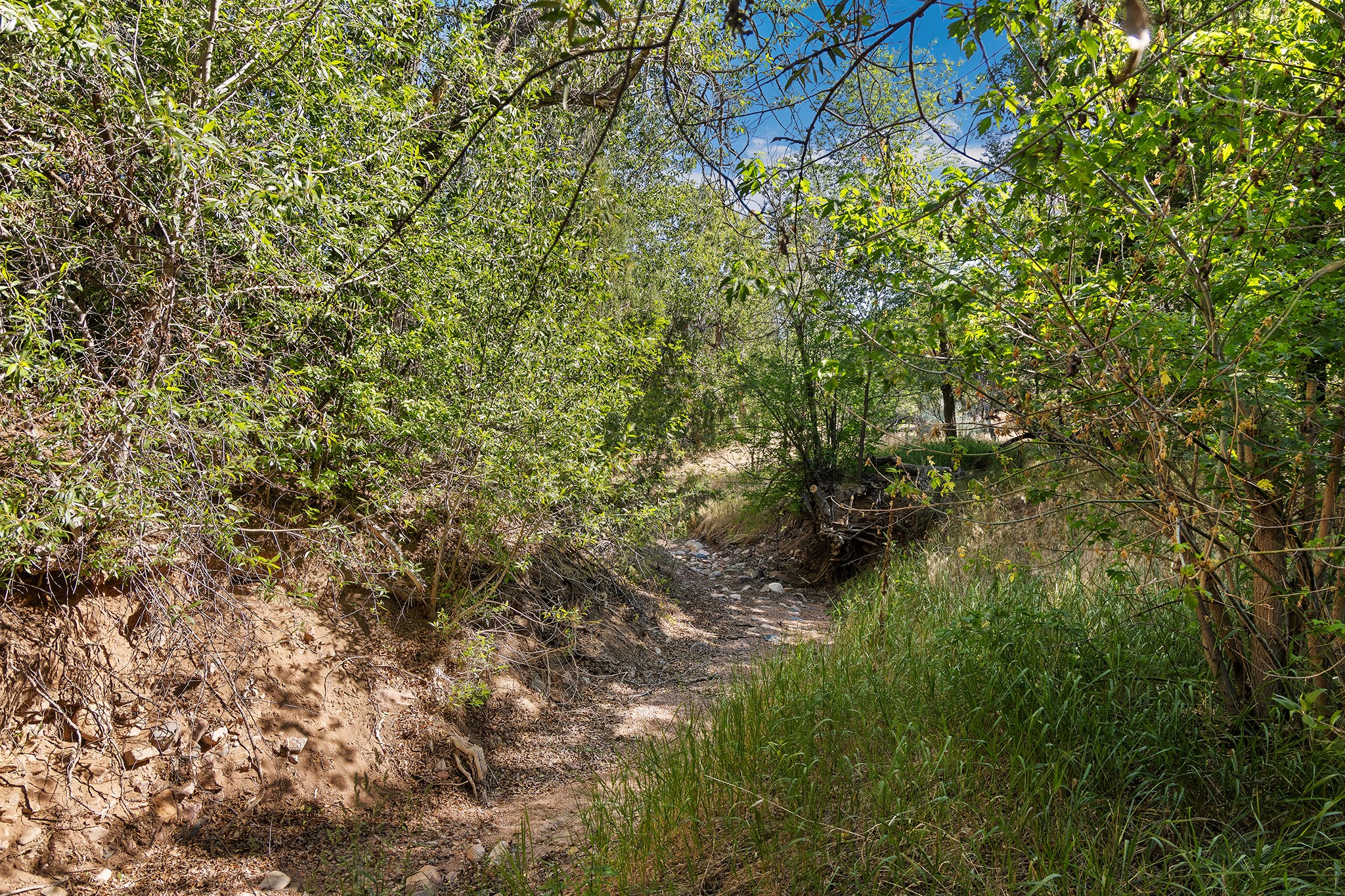 1330 Bishops Lodge Road Santa Fe, NM 87506 - Photo 49 of 54