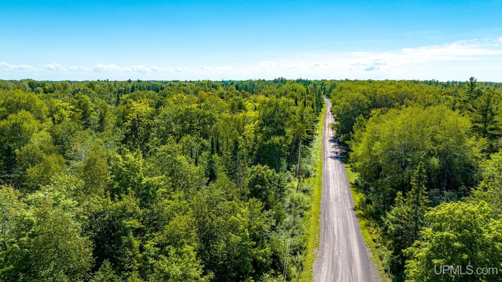 Tbd A Tbd A Tecumseh Road Calumet, MI 49913 - Photo 43 of 45