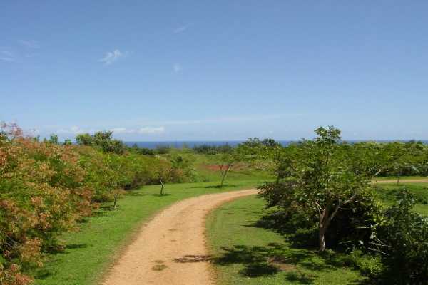 7200 B Koolau Road Kilauea, HI 96754 - Photo 1 of 14 Gallery Image 1