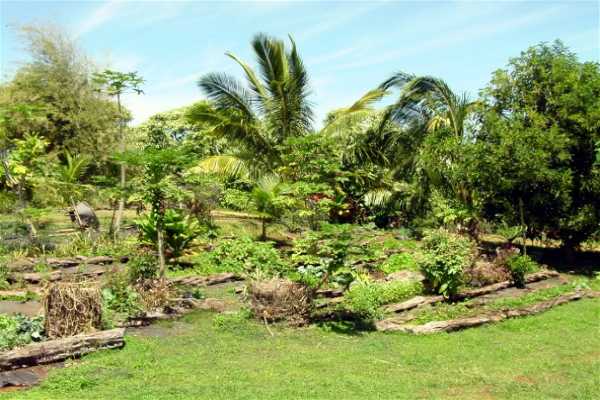 7200 B Koolau Road Kilauea, HI 96754 - Photo 5 of 14 Gallery Image 5