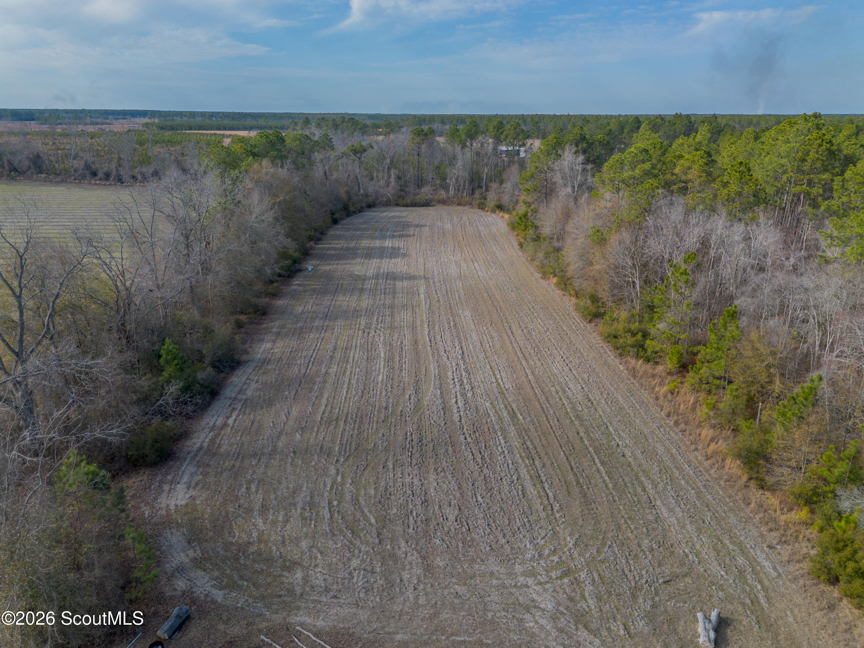 0 Reddish Road Odum, GA 31555 - Photo 16 of 46 230-AC-REDDISH-ODUM-15