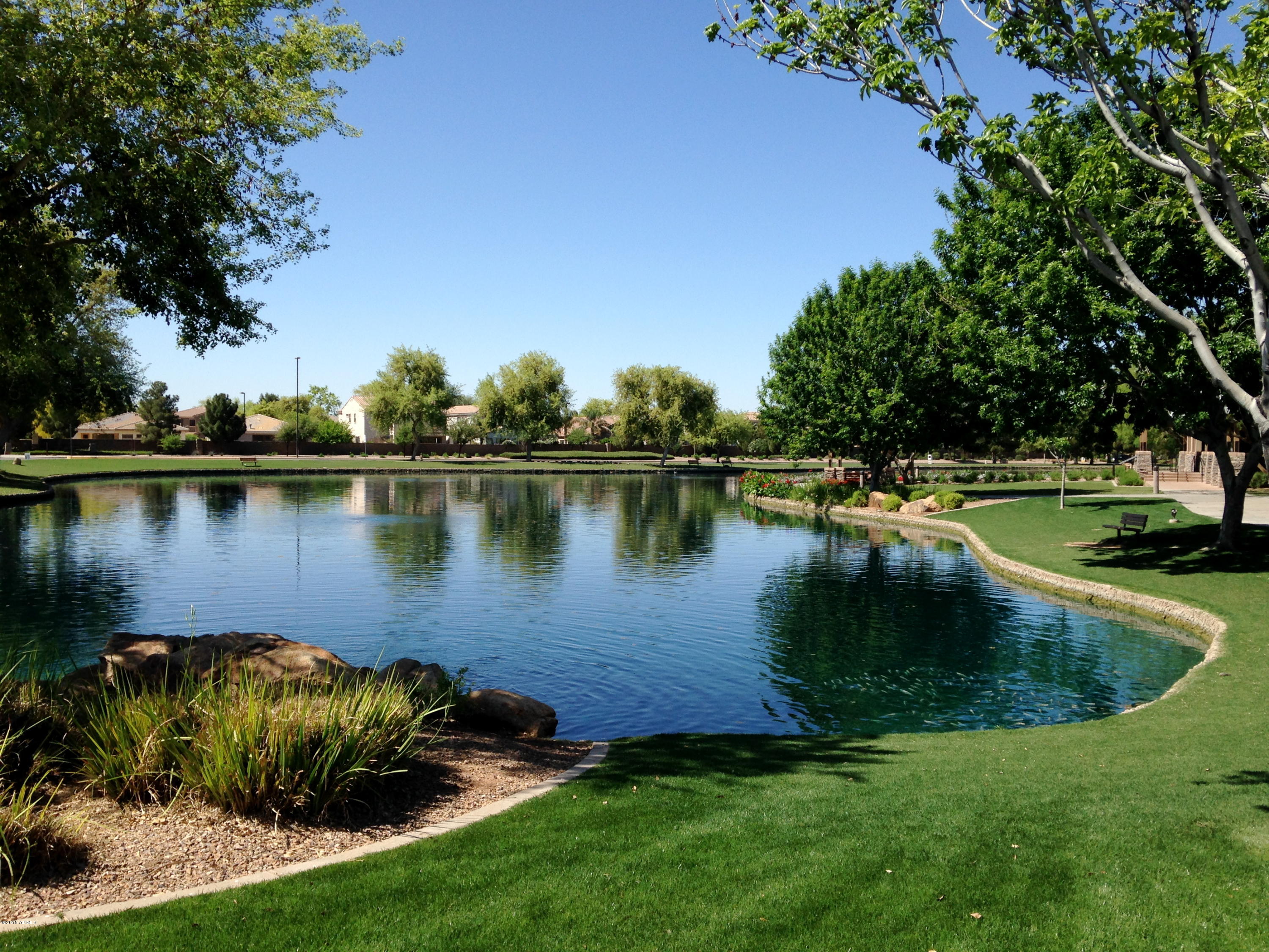 4232 East Buckboard Road Gilbert, AZ 85297 - Photo 30 of 35 PR Lake.JPG