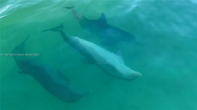 $1,990,000 | 164 Venetian Drive, Islamorada, FL 33036