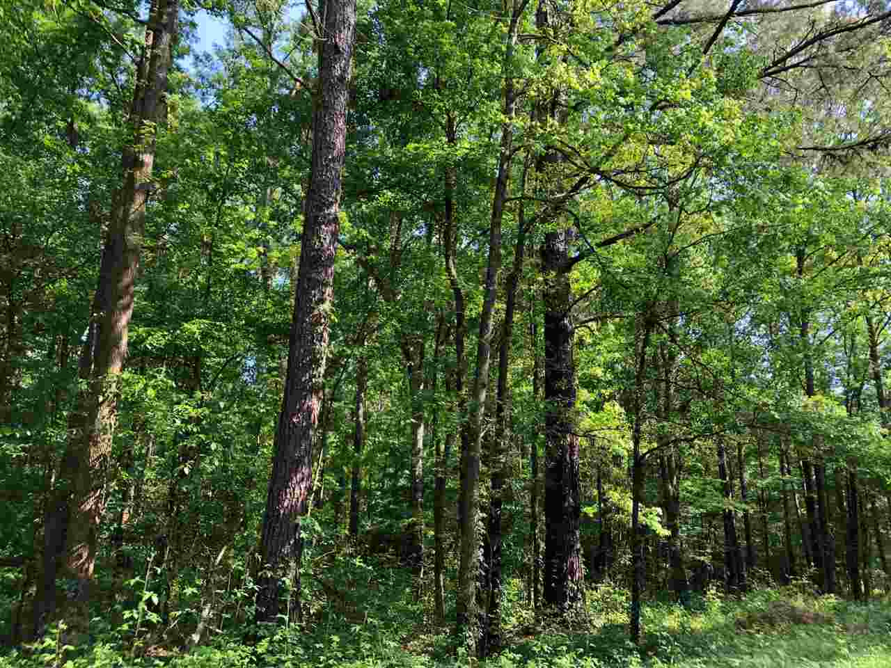 4 Doc Webb Road, Unit 4 Lena, MS 39094 - Photo 3 of 9 Photo 3