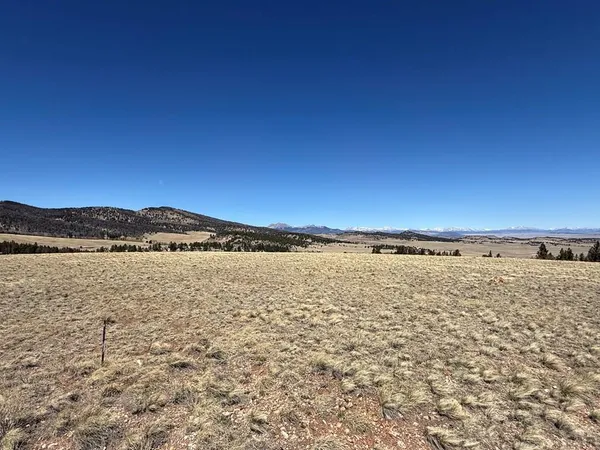 $74,999 | 197 Baler Court, Hartsel, CO 80449