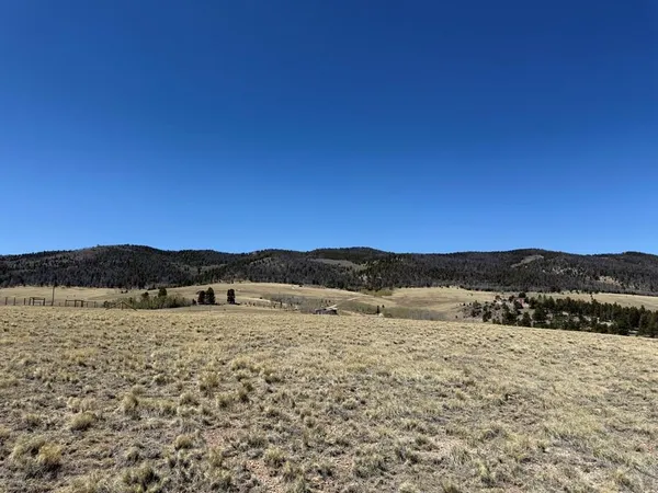 $74,999 | 197 Baler Court, Hartsel, CO 80449