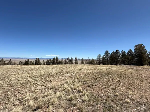 $74,999 | 197 Baler Court, Hartsel, CO 80449