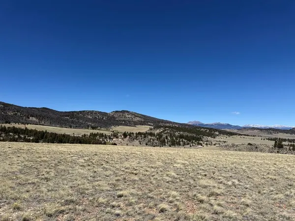 $74,999 | 197 Baler Court, Hartsel, CO 80449