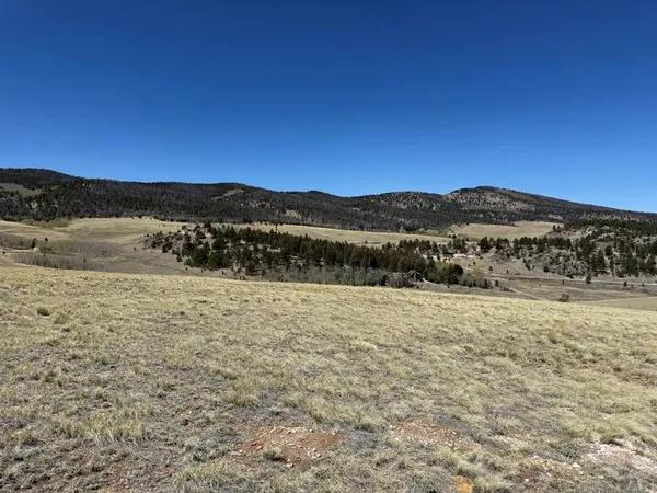 $74,999 | 197 Baler Court, Hartsel, CO 80449