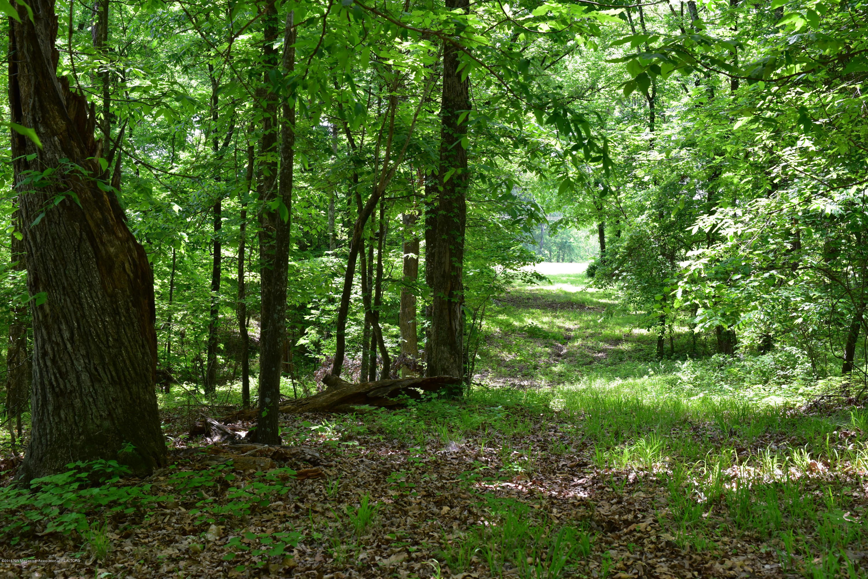4562 McCracken (1)