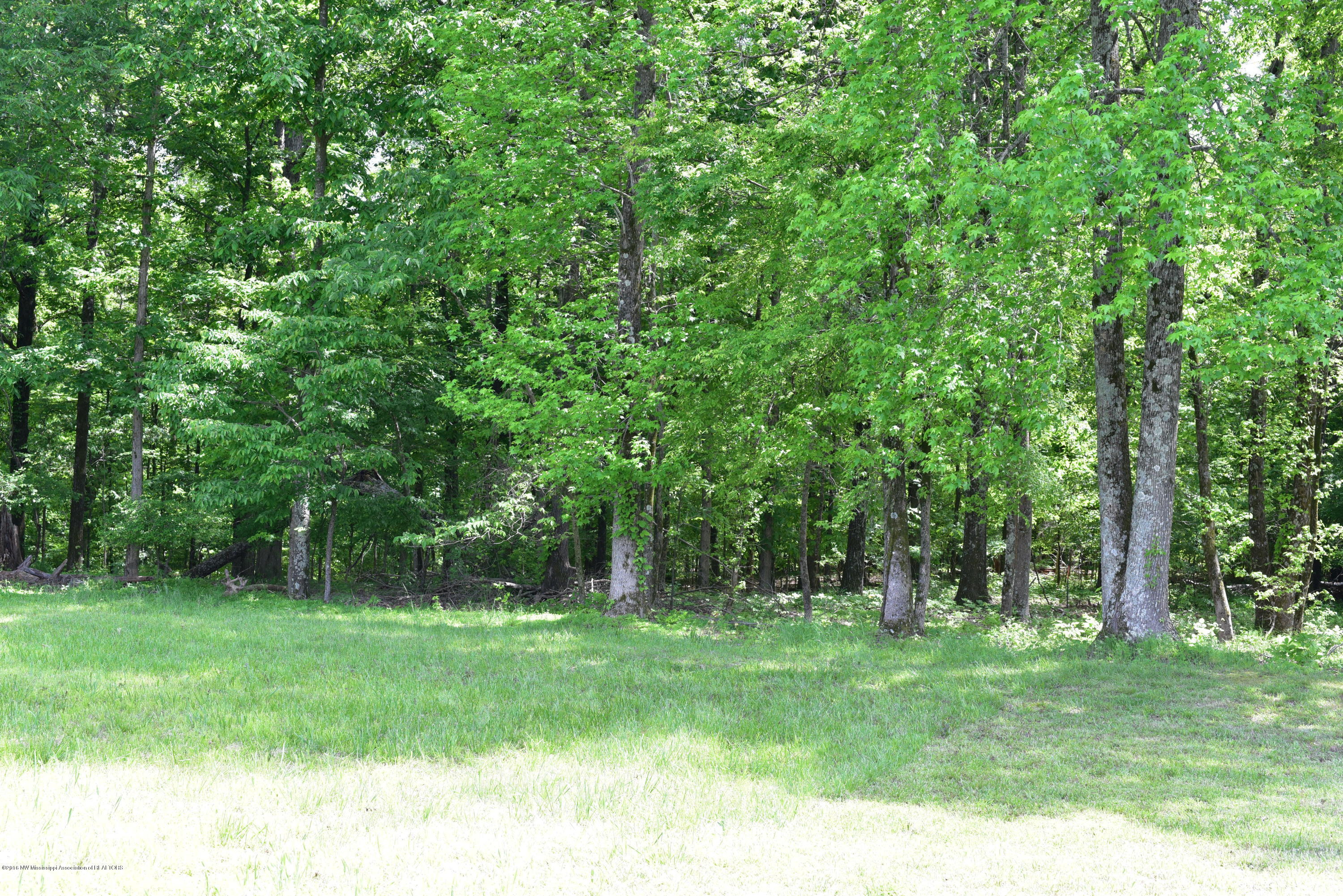 4562 McCracken (4)
