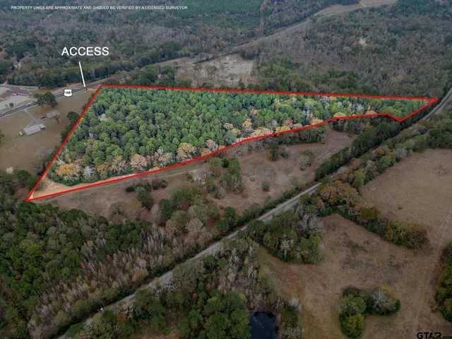 a view of a garden with a pathway