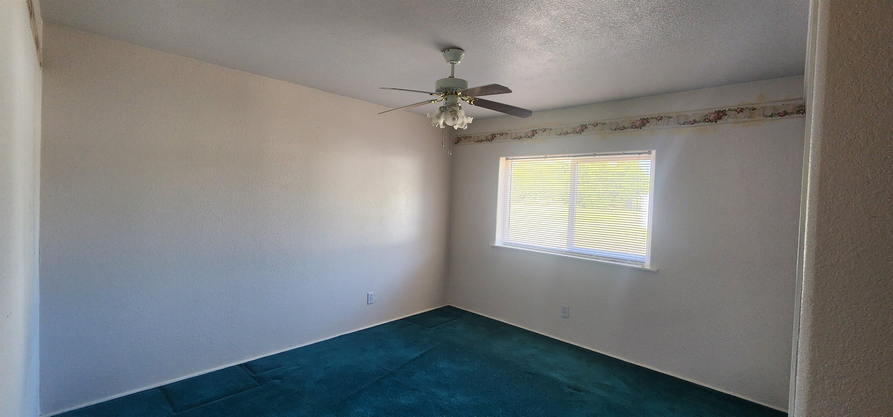 161 Jorgens Road Newport, WA 99156 - Photo 21 of 48 Gallery Image 21