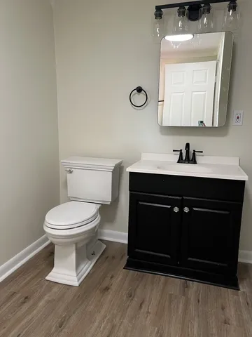 a bathroom with a sink and a toilet