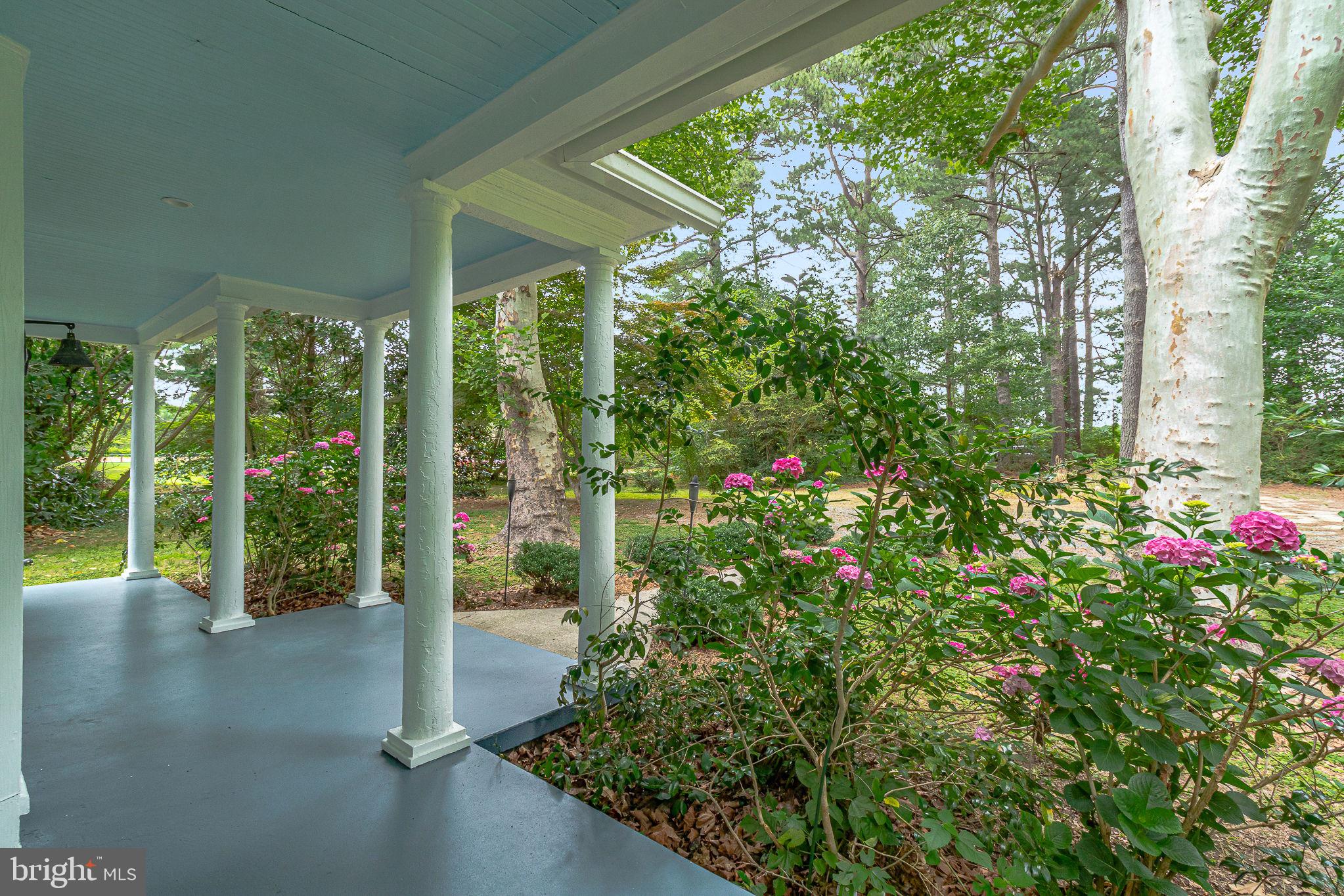 3952 Irvington Road Irvington, VA 22480 - Photo 3 of 77 a view of a garden with plants and large trees