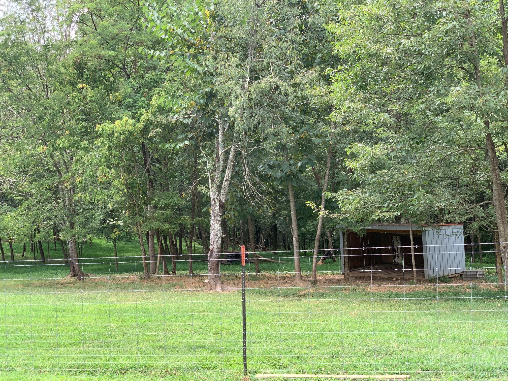 350 Sands Road Pulaski, TN 38478 - Photo 15 of 20 a view of a house with a backyard