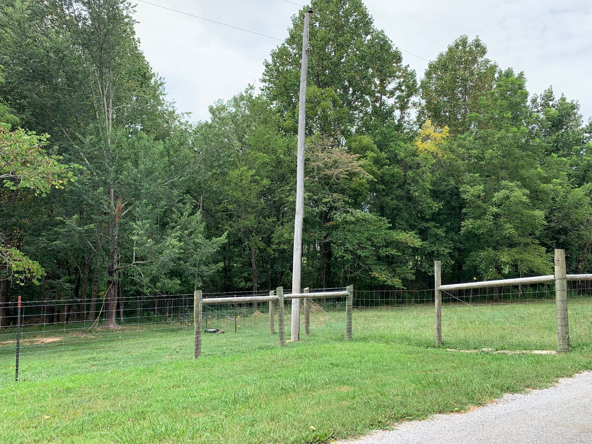 350 Sands Road Pulaski, TN 38478 - Photo 16 of 20 a backyard of a house and trees
