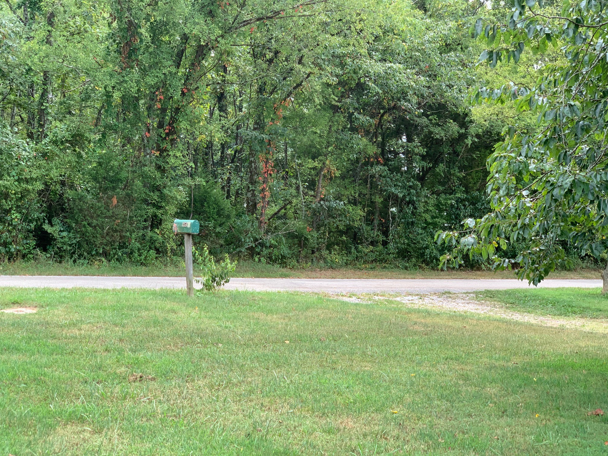 350 Sands Road Pulaski, TN 38478 - Photo 4 of 20 a backyard of a house with lots of green space