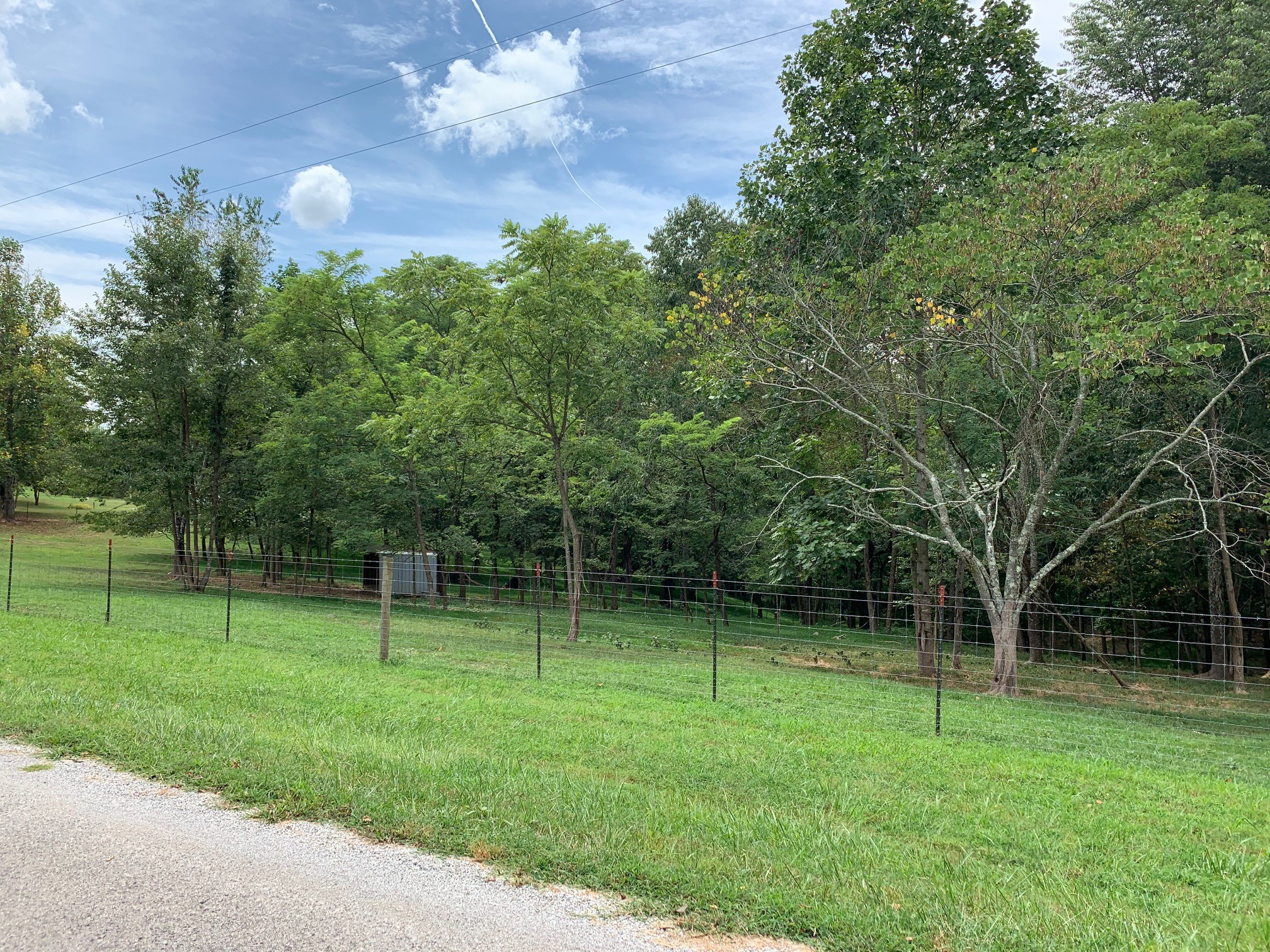 350 Sands Road Pulaski, TN 38478 - Photo 7 of 20 a backyard of a house with lots of green space